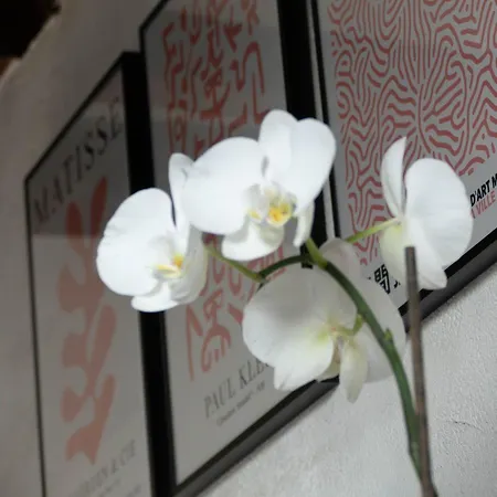 Apartment Toussaint - Calme & Authentique *