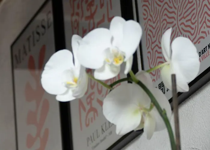 Apartamento Toussaint - Calme & Authentique *