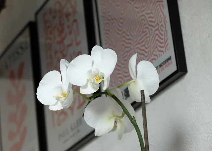 Toussaint - Calme & Authentique Appartement *