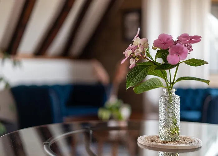 Apartamento Toussaint - Calme & Authentique Angers